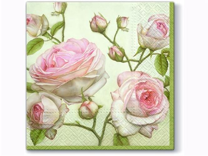 Hovedbilde Flotte Rosa Roser